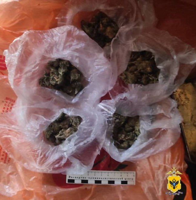 ���������� ����������� ������ ������ ��������� � ������ ���������� ������