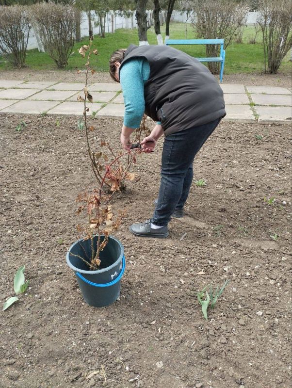 ������ �������� ��������� � ��������������� �������� ���� ��������