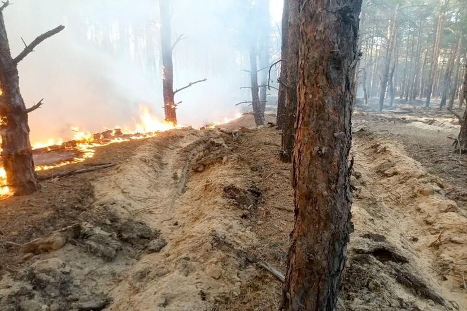 � 1 ������ � ���������� ������� ��������������� ������������� �����