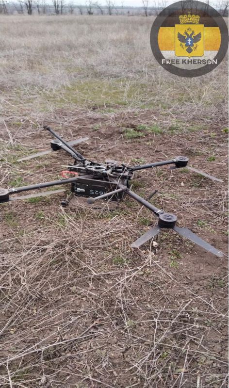 ������������� ��� 49-� ����� �������� ���������� ���� '���� ���' �� ���������� �����������