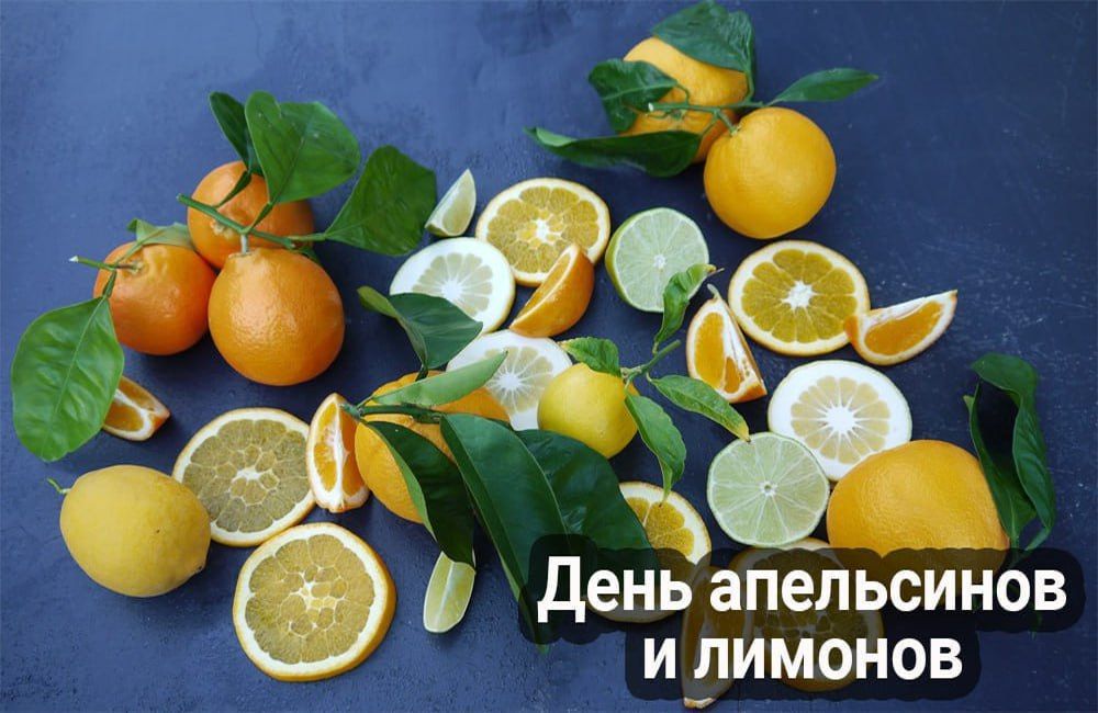 31 ����� � ���������� 14 ����������