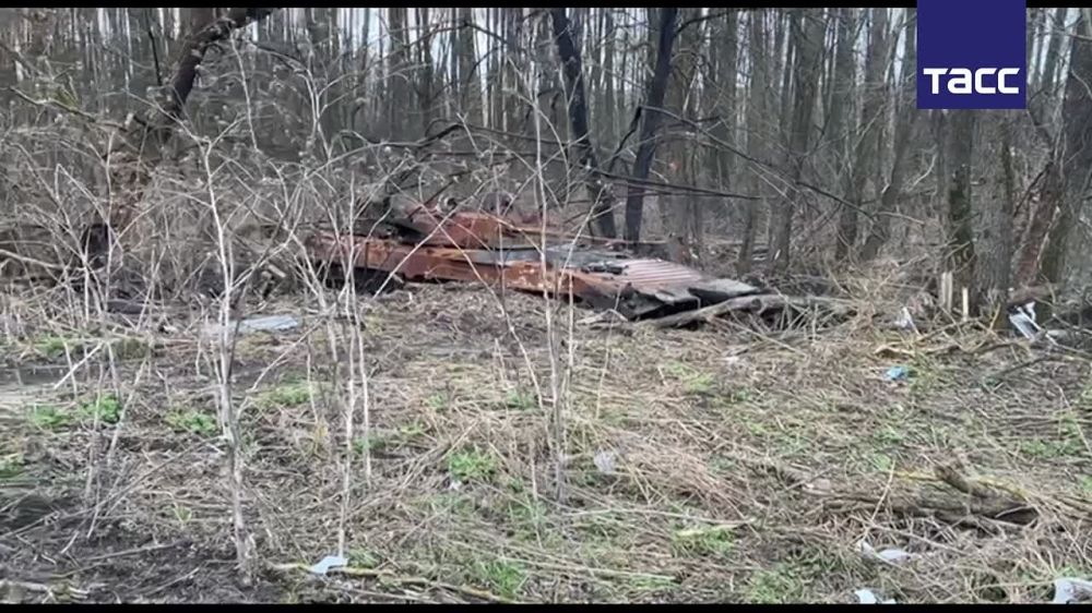 ���������� ������� ���������� ���� �� ������������ ���������, ����������� ������� ������������� �����, � ������������� ��������� ������� �������