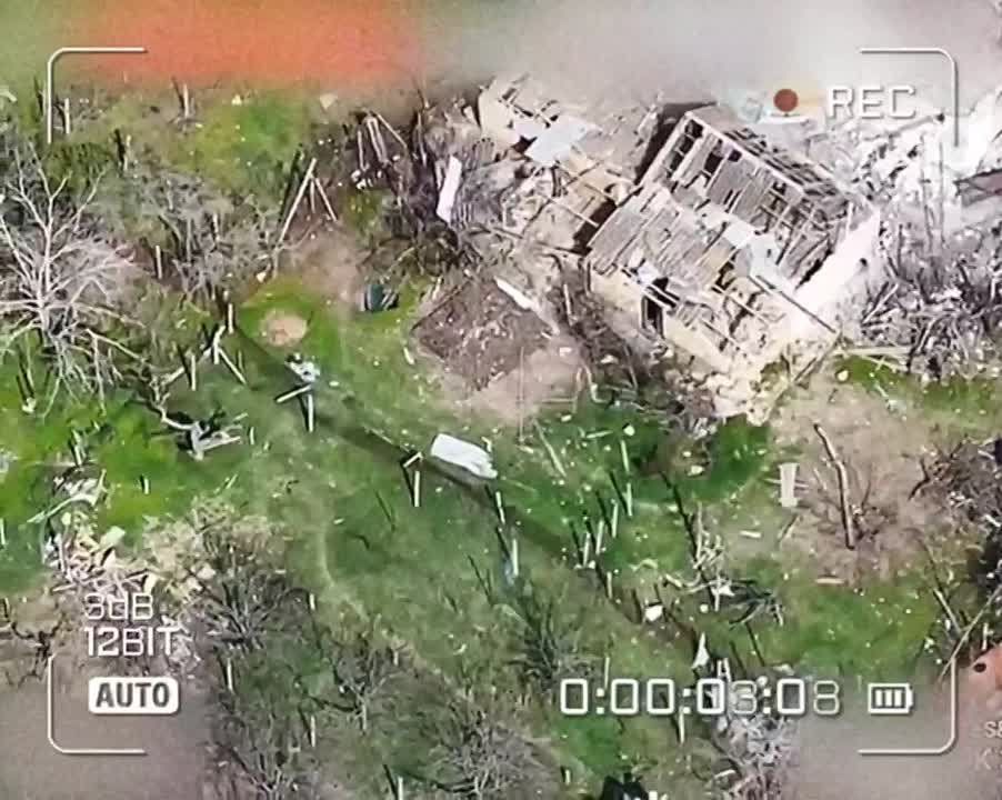 ���������� �����������. ����������� �������� ����������� ���������� ������� ���� � ���������� ��������� ������ ������� ���������� ����������� "�����" ���� �� �������