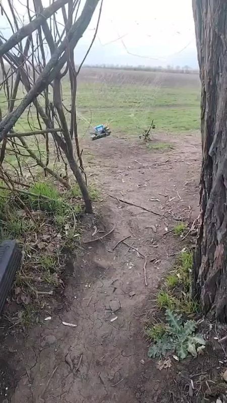 FPV-���� ���������� ������� ������� ����� ������ ���������, ��������� � �����