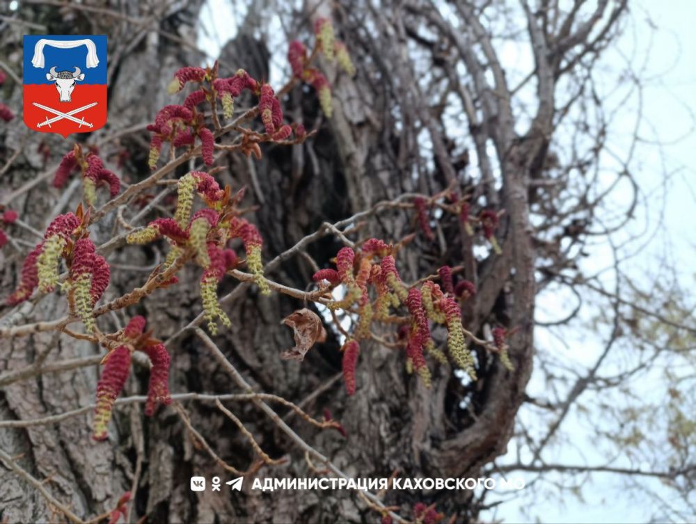 ������ ����, ������ ���������� �������������� ������!