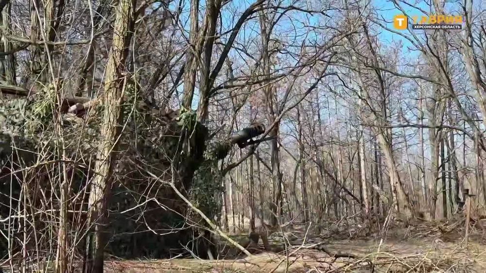 ������ ������� �-30 ����������� ����� "�����" ��������� ����� ���������� ���� ��� � ���������� �������