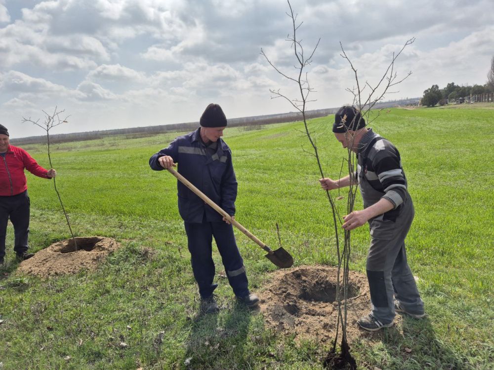 100 �������� �������� ��� ���������� ��������������� ������ ������� ������� �� ������� ������