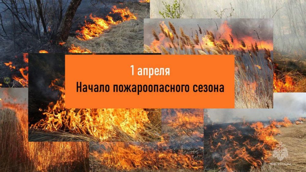 ������������� ����� ������