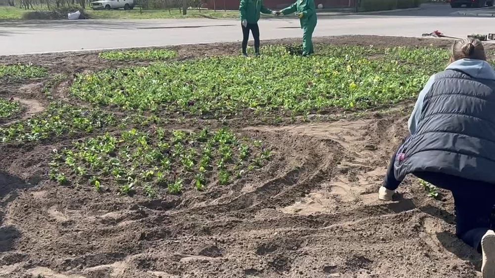 ������� ����: � �������� ����� ������������ ������ ������� �������� ��� ���������������� ������ ������