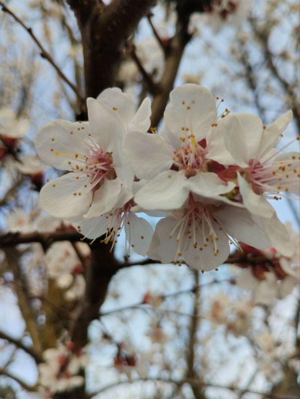 ����� ����� ���� ������� ������ ��������! ������ �������� ���� � ����� ����� ���������� ����� �������� �� ����������