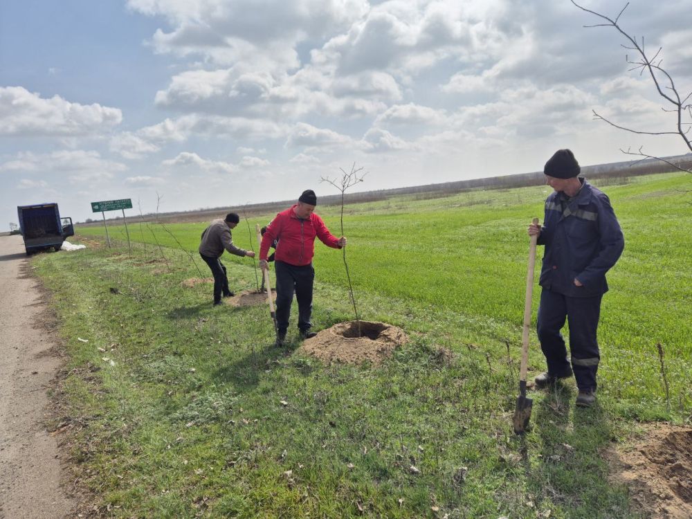 � �������������� ������������� ������ ������� ����� 1000 ��������: ��� ���������� ����������� �������� ���� ���� �� �����