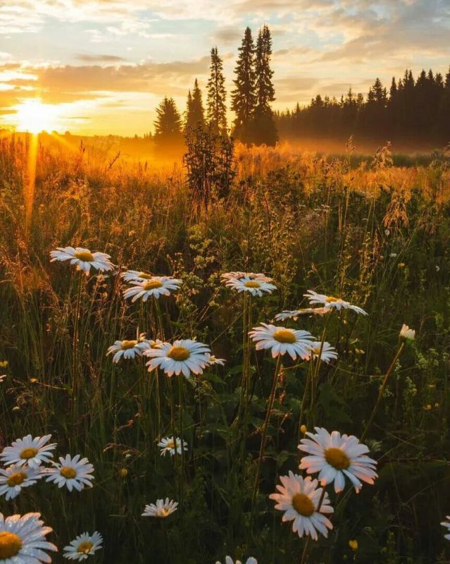 . ����������! �� ���� ������ �� ���� , �� ����� , ���� , ����� ����