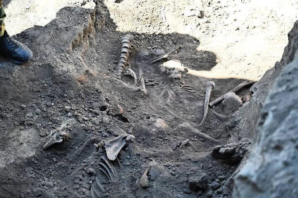 ��� ������������ ������� ��������� ������������ � ���������� �������