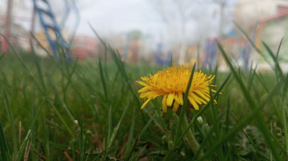 � ������ �����, �����������!