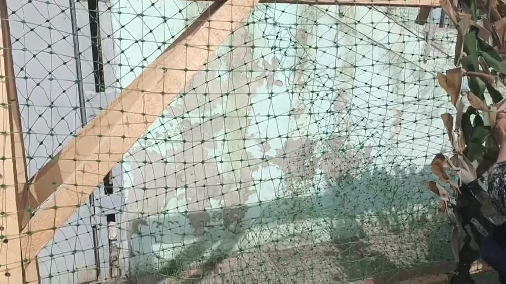 ���� #�������� � �. �������� ���������� ���� �������� ������ ������������� ����