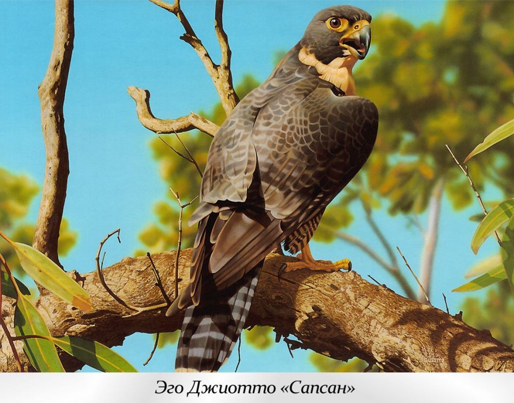 1 ������ - ������������� ���� ����