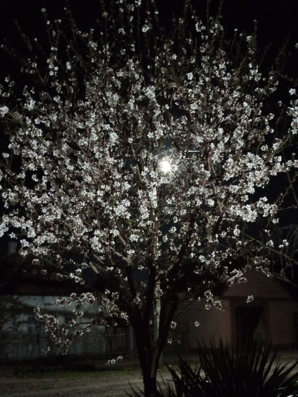 ***. ����� � ����� ������� �� ��������