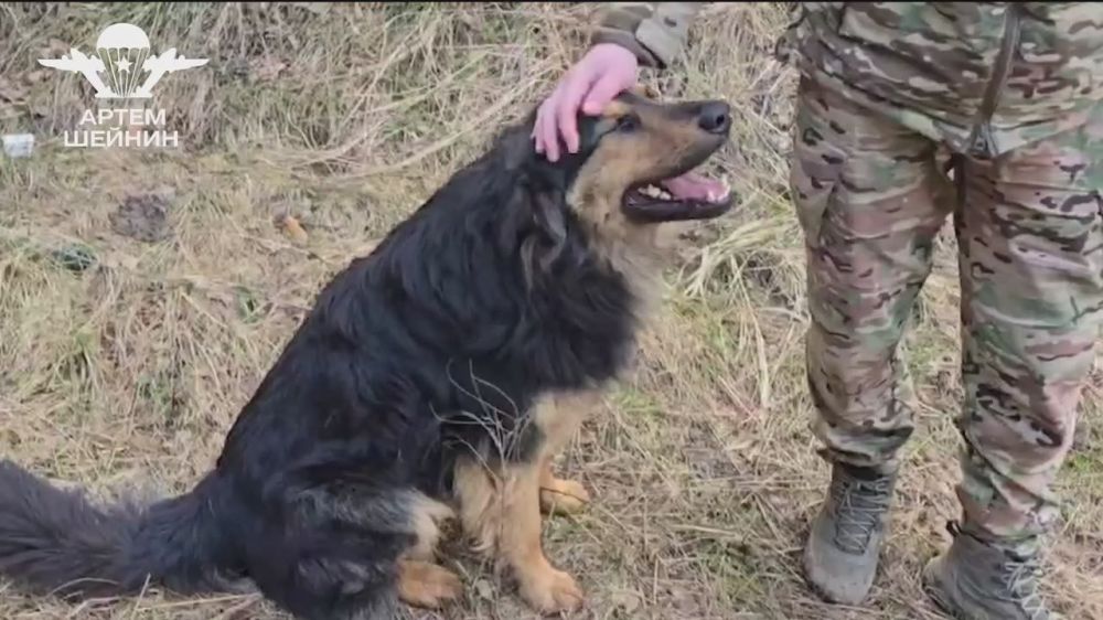 ���� ������: �� �������� � 56-� ���� �� ����������� ���� ����� �� ���� ��� ������ ��������� �� ���