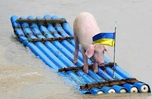 ���������� ������� �������� ����� ��� �� ���������� �����������: ���������� ��� ������ � ������� ������� ��������