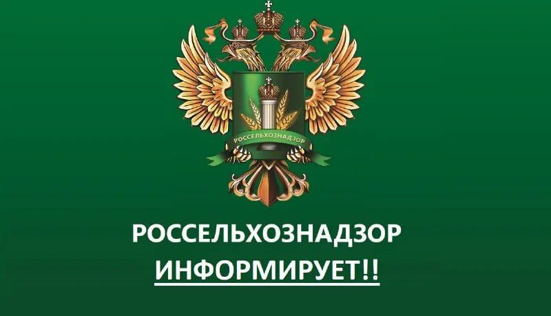 ������� ������ �������������� ��������� � ���������� ���������� �������