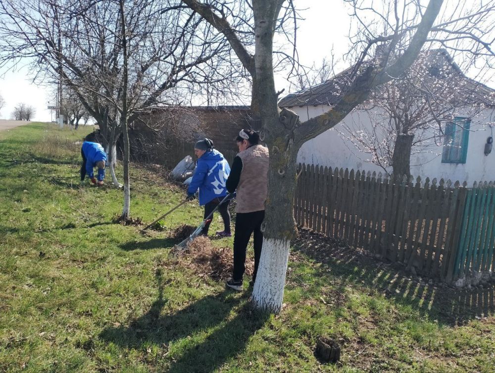 ��������� ������ ������: ������ ���������� ������ �������