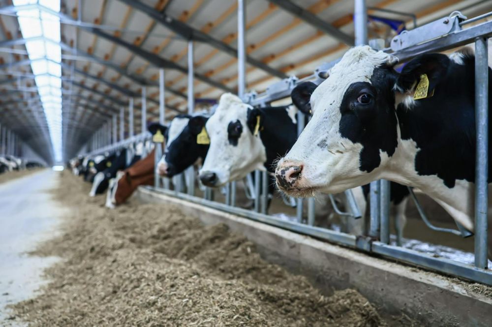 � ���������� ������� ���������� ������ ������������ ���������������� ���������