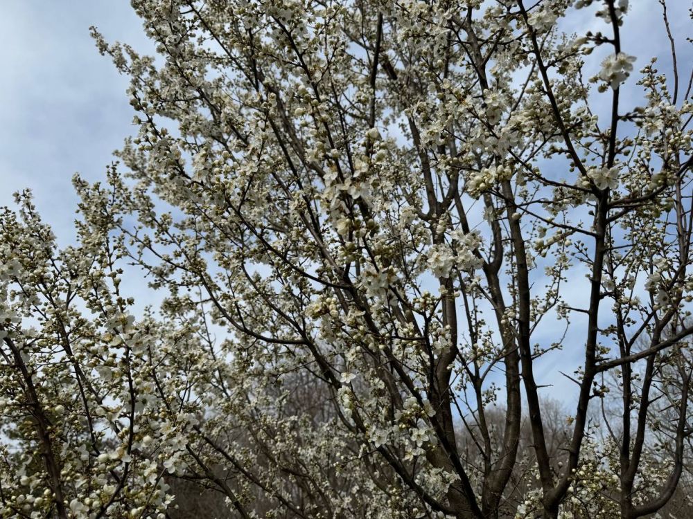 �������� �������� ���� ������ � ������� ���������� �������