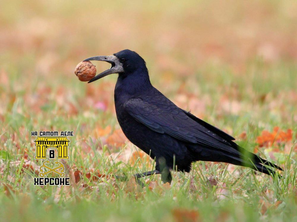 � ���� ���� ���������� ������������� ����� ����������� ������������� ������� ��� �������� ��������������� �����