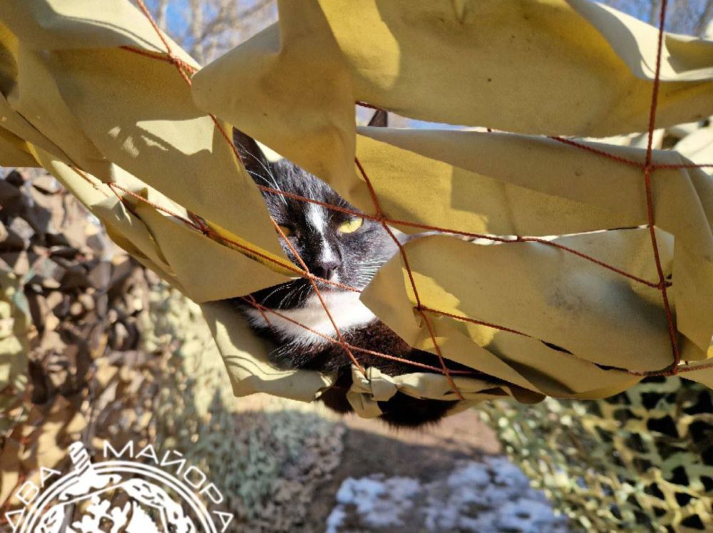 ��������� ������ �� �������� ��� ������