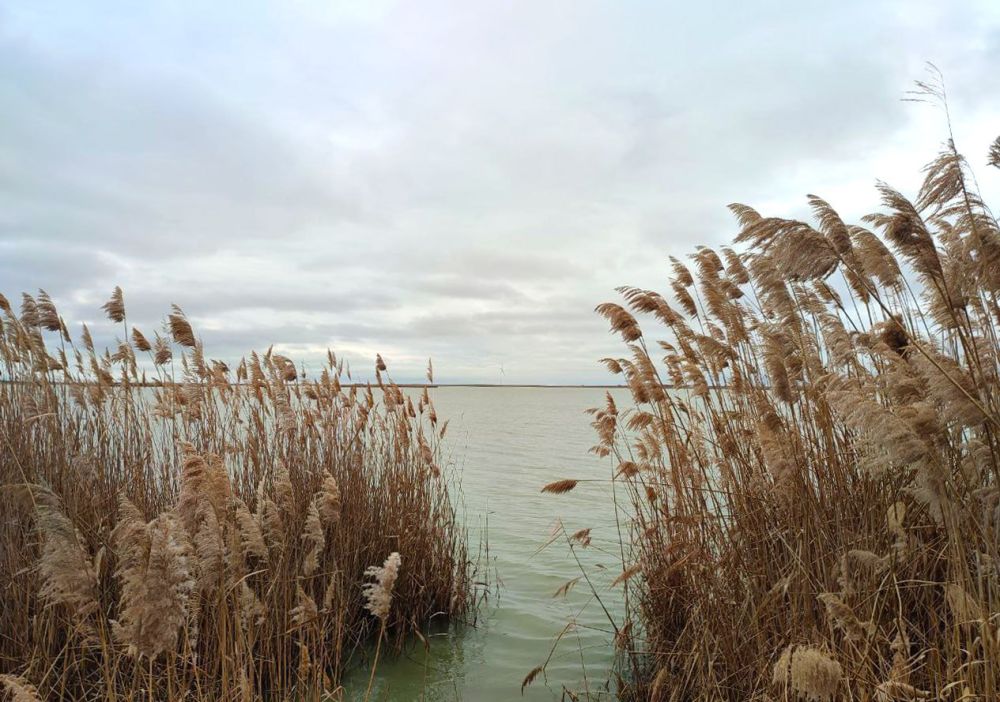 ���������� ���������� ������� ����� ������� ������ � ��������� ������