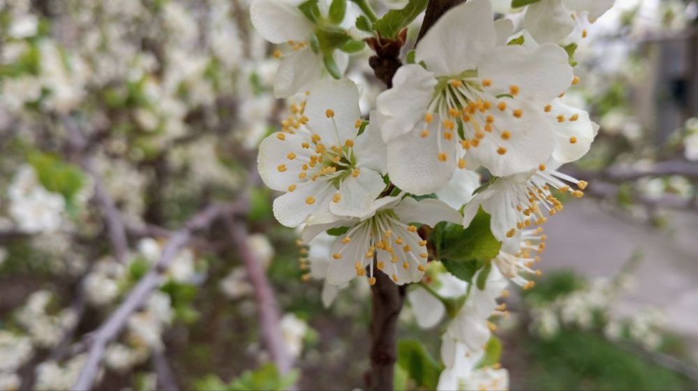 � ������ �����, �����������!