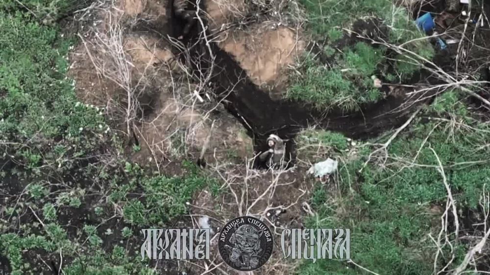 ���� �� �������: ����������� �����������, �.�. ��������