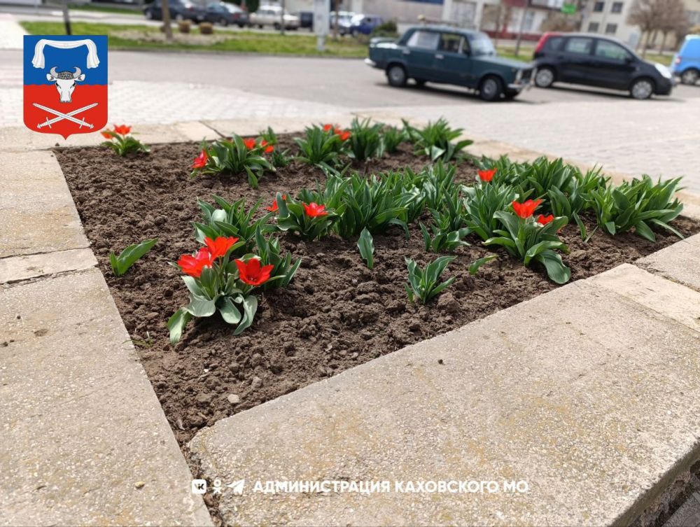 ������ ����, ������ ���������� �������������� ������!