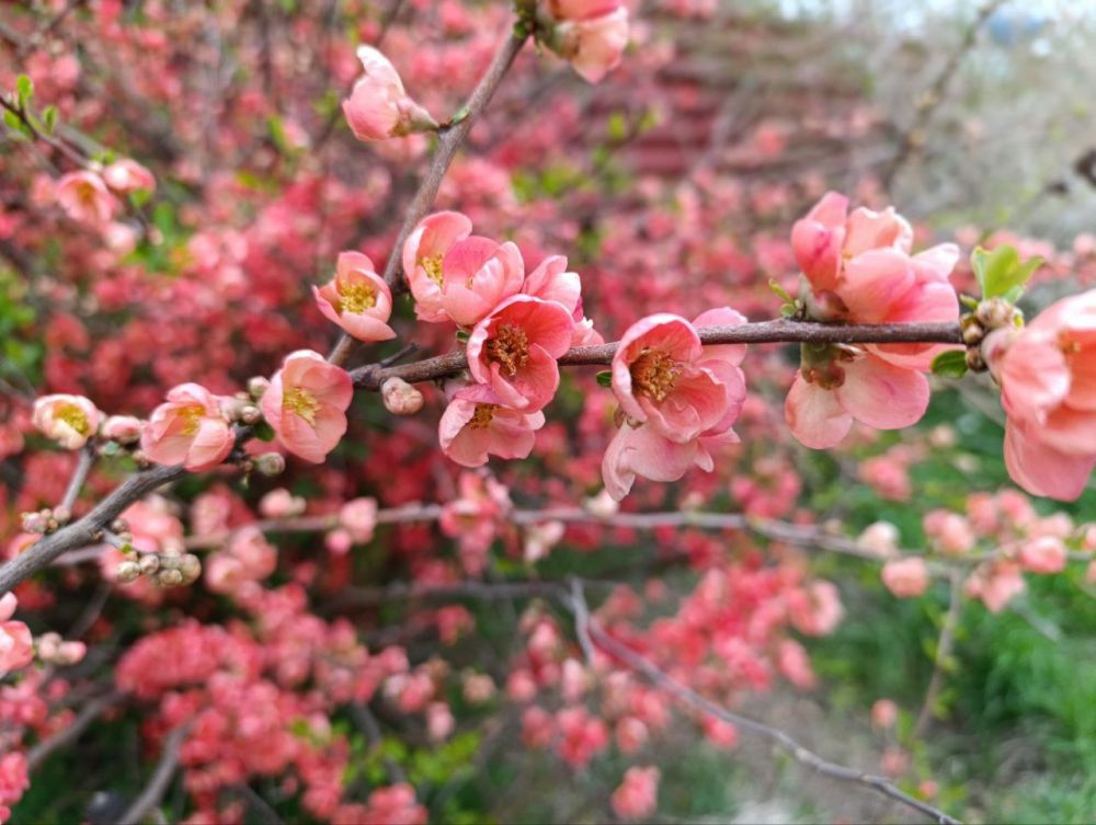 ���� �������� ��������� ���, �������� �������������� ���������� � ���������� ��������