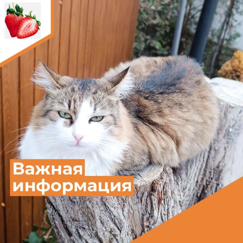 ������� ������ �����������!