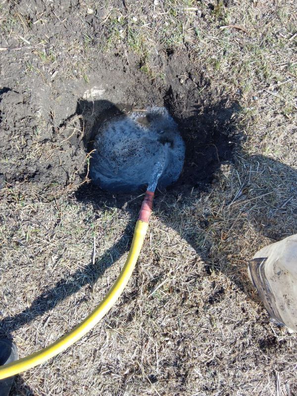 ������� ���������� ������� 50 �������� � �������!