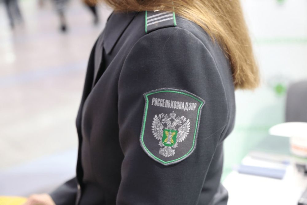 ���������������� ����� 216 ��������������� � ���������� ������� �� ��������� ���������������� � ������� �������������