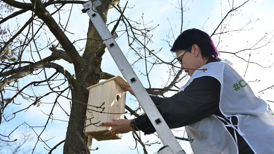 � ���������� ������� ������ ������������� ����������� ��� ���������� ����