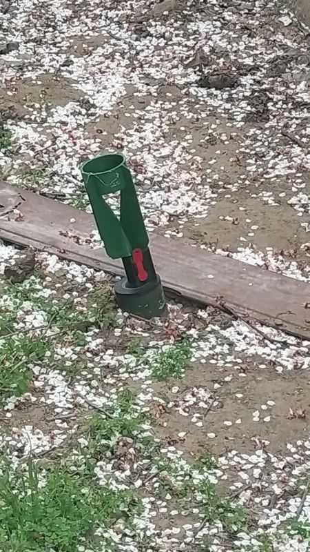 ������������� ��������� ��� ��������� � ������� ���� �������