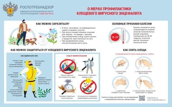 � ����������� ������ �������� ��������