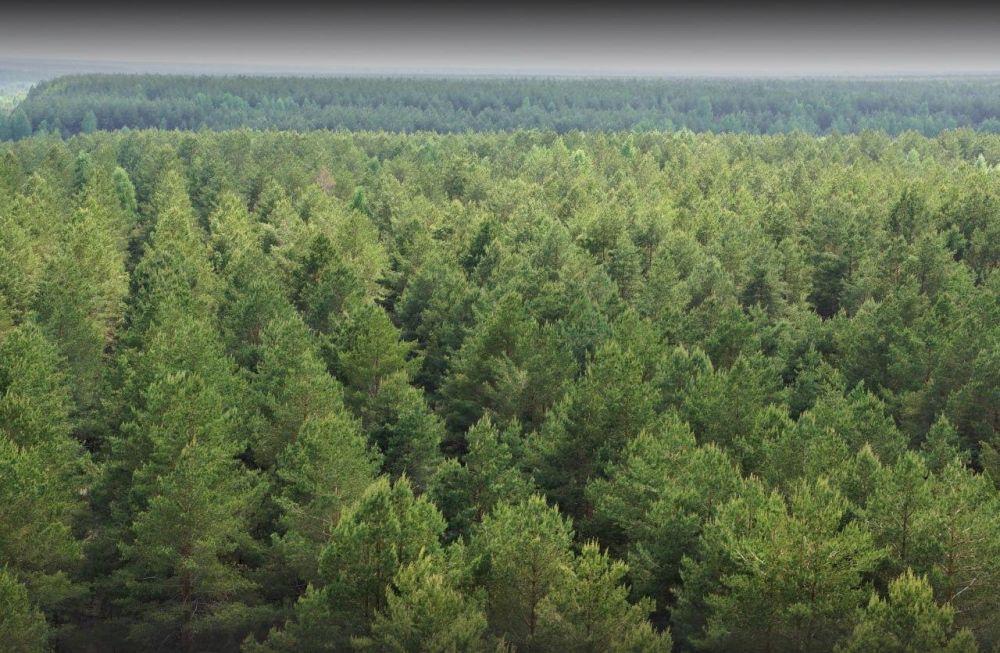 � ���������� ������� ������� ������� �������