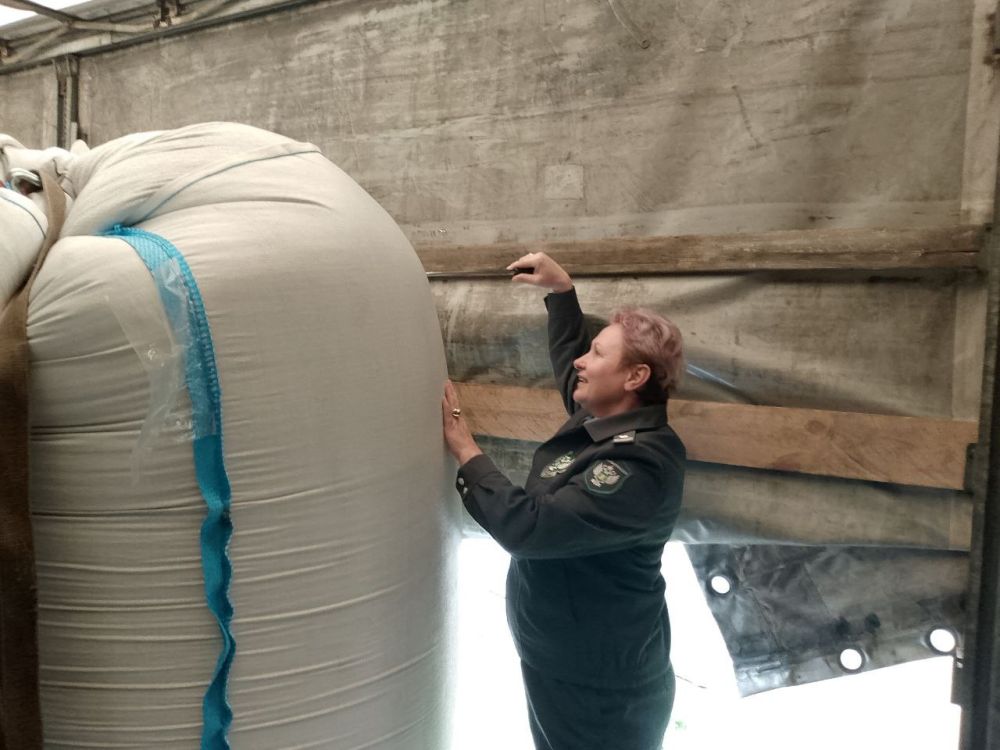 ���������������� ����� 216 ��������������� ���������������� ���������� ������� �� ��������� ���������������� � ������� �������������