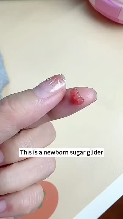 ������������ ��� ��, ��� ������� ������, ���������, ��������� �������������� ������� �������� ������