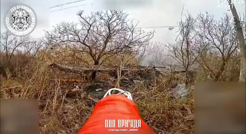 ����������� ����������� ����� �� ��������������� �������