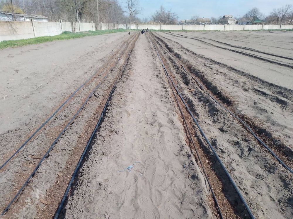 ��������������� ������ �������� ����� ����� ���� � �������� ������������� �����������