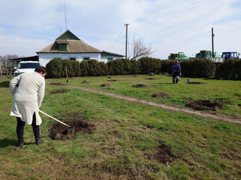 �������� ������: � ����������������� ������ ������ ����� "��� ������"