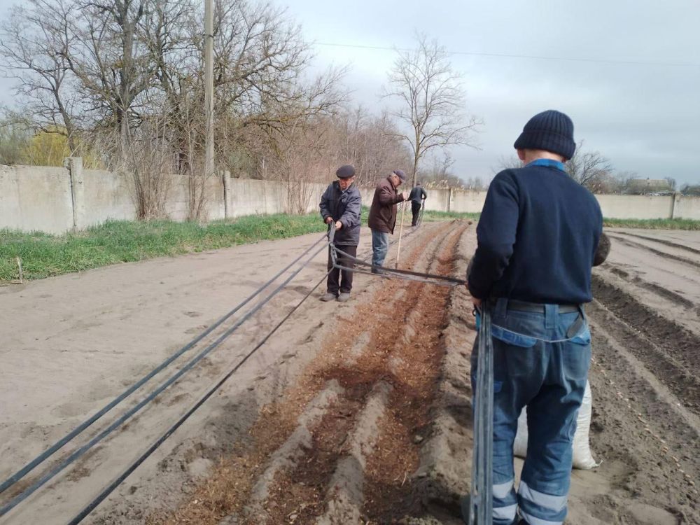 ��� �� "��������������� ������" �������� ����� ����� ���� � �������� ������������� �����������