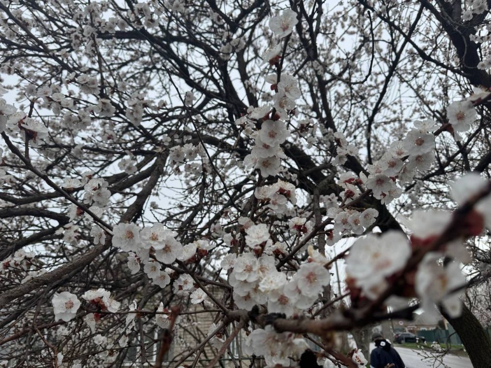 ������� ����� � �����, ��� "���������" �� ���������� ��������