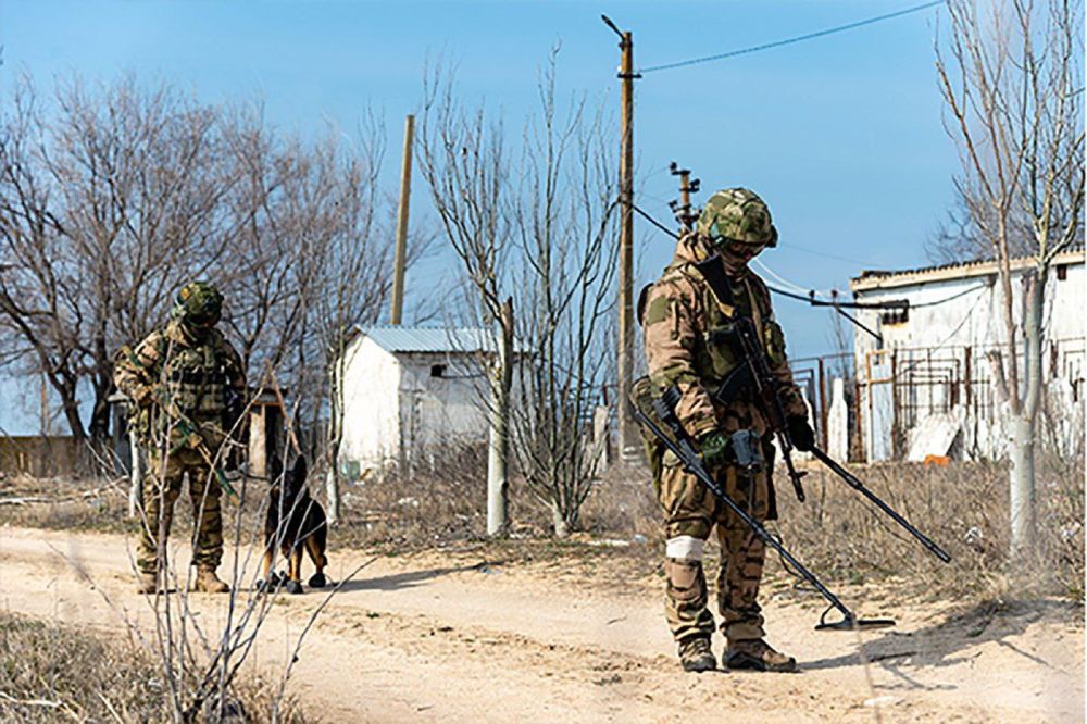 ������������ �������� �������� ����������� �� ����������� ������������ � ���� ���