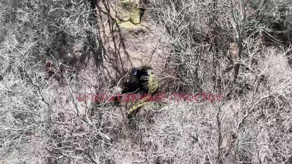 ����� ������� ��� ������� 144 ������� 20 �����